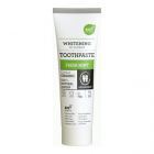 Verse Munt Tandpasta 75 ml