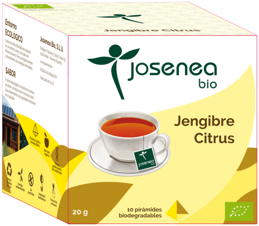 Equisalud Gember Citrus Bio 10 Piramide Sachet