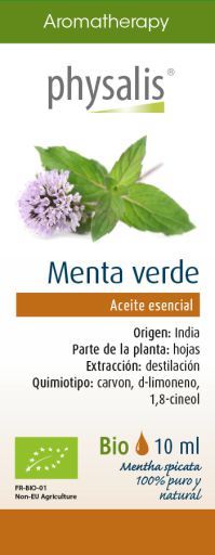 Groene Munt essentie 10 ml