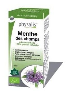 Physalis Pepermuntessence 10 ml