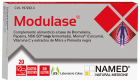 Modulase Modulase