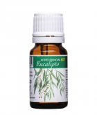 Essentie 10 cc