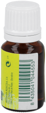 Essentie 10 cc