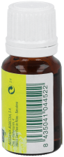 Essentie 10 cc