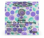Blueberry Hydraterende Gezichtslotion 100 ml