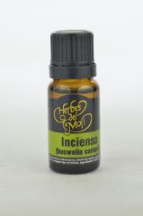 Aromatherapie Essenti&euml;le Olie Wierook Eco 10 ml
