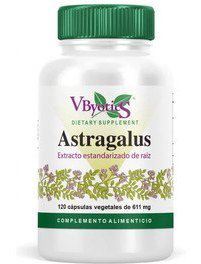 Vbyotics Astragalus Root Std 120 Plantaardige Capsules