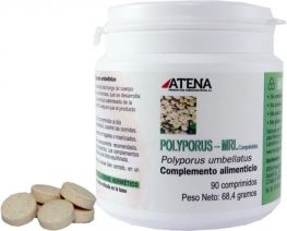 Atena Polyporus Mrl 500 mgr 90 tabletten