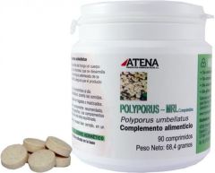 Polyporus Mrl 500 mgr 90 tabletten