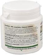 Polyporus Mrl 500 mgr 90 tabletten