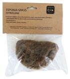 Grasspons