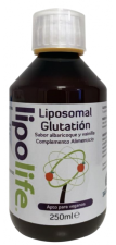 LipoLife Liposomale Glutathion Abrikoos en Vanille 100 ml