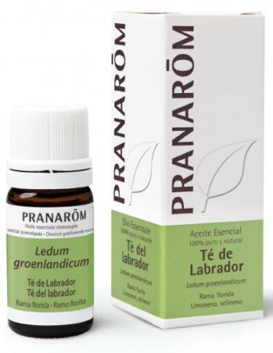 Pranarom Labrador Thee Etherische Olie 5 ml