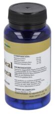 Goldenseal Echinacea 60 capsules