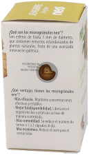 Gember 45 Capsules