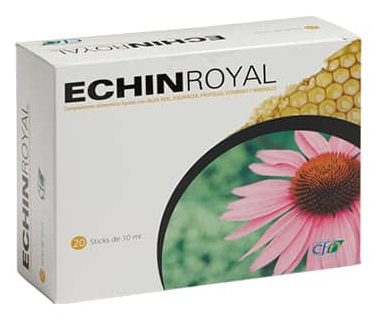 CFN Echin Royal 20 Ampullen