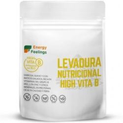 Energy Feelings Vita B12 Voedingsgistvlokken 130 gr