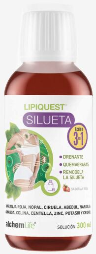Lipiquest Siluet 3 in 1 verpakking 300 ml